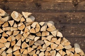 brennholz-lagerung-richtig-biofire-kaminofen-kaminholz-kamin-kachelofen
