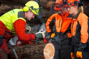 Brennholzselbstwerber-Gesetze-Vorschriften-Unfallverhuetung-Forst-Wald-Holz-schlagen
