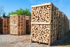 Brennholz-kaufen-in-meiner-Nähe-oder-Brennholz-lagern